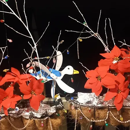 Les Embruns - Maeva - 4 Personnes - Confort Mae-0126 *