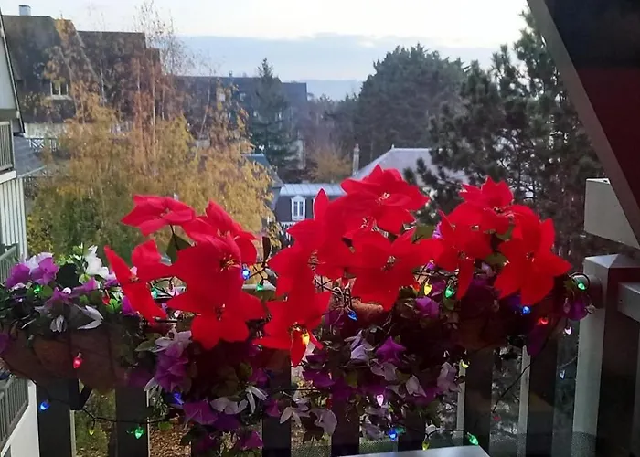 Apartman Les Embruns - Maeva - 4 Personnes - Confort Mae-0126 Deauville