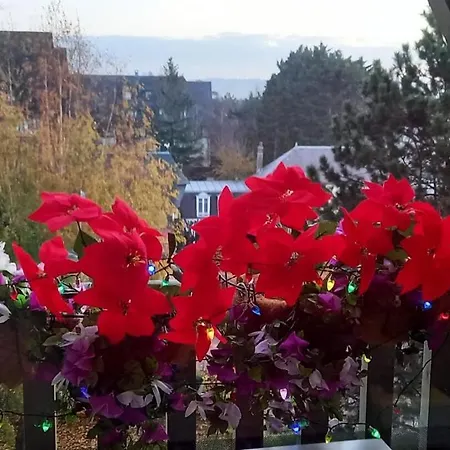 Apartment Les Embruns - Maeva - 4 Personnes - Confort Mae-0126 Deauville