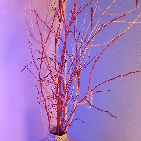 Les Embruns - Maeva - 4 Personnes - Confort Mae-0126 Apartment Deauville