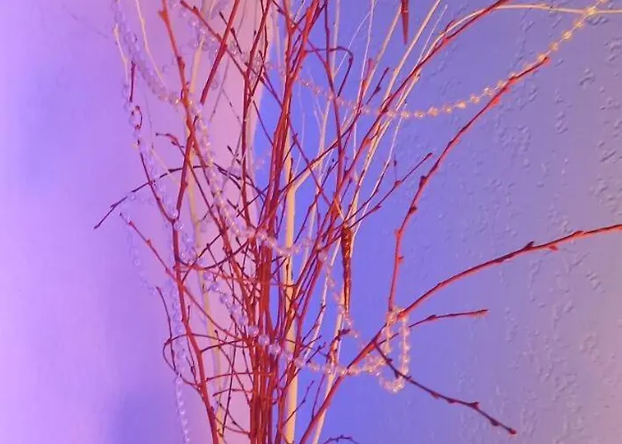 Les Embruns - Maeva - 4 Personnes - Confort Mae-0126 Lejlighed Deauville